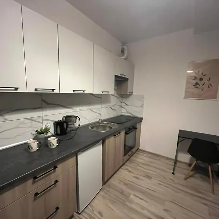Apartament Kawalerka Poznanska 22 *